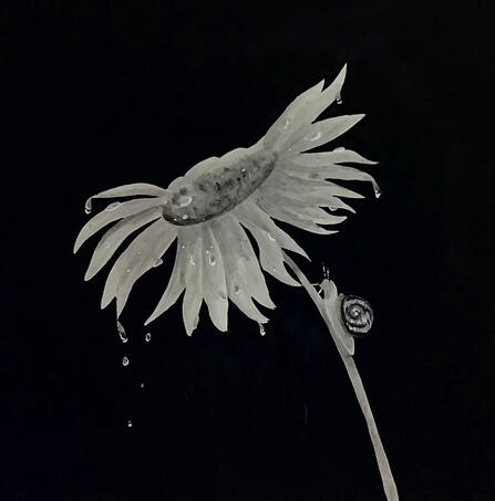Daisy - 2022